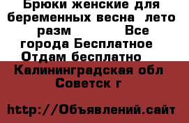 Брюки женские для беременных весна, лето (разм.50 XL). - Все города Бесплатное » Отдам бесплатно   . Калининградская обл.,Советск г.